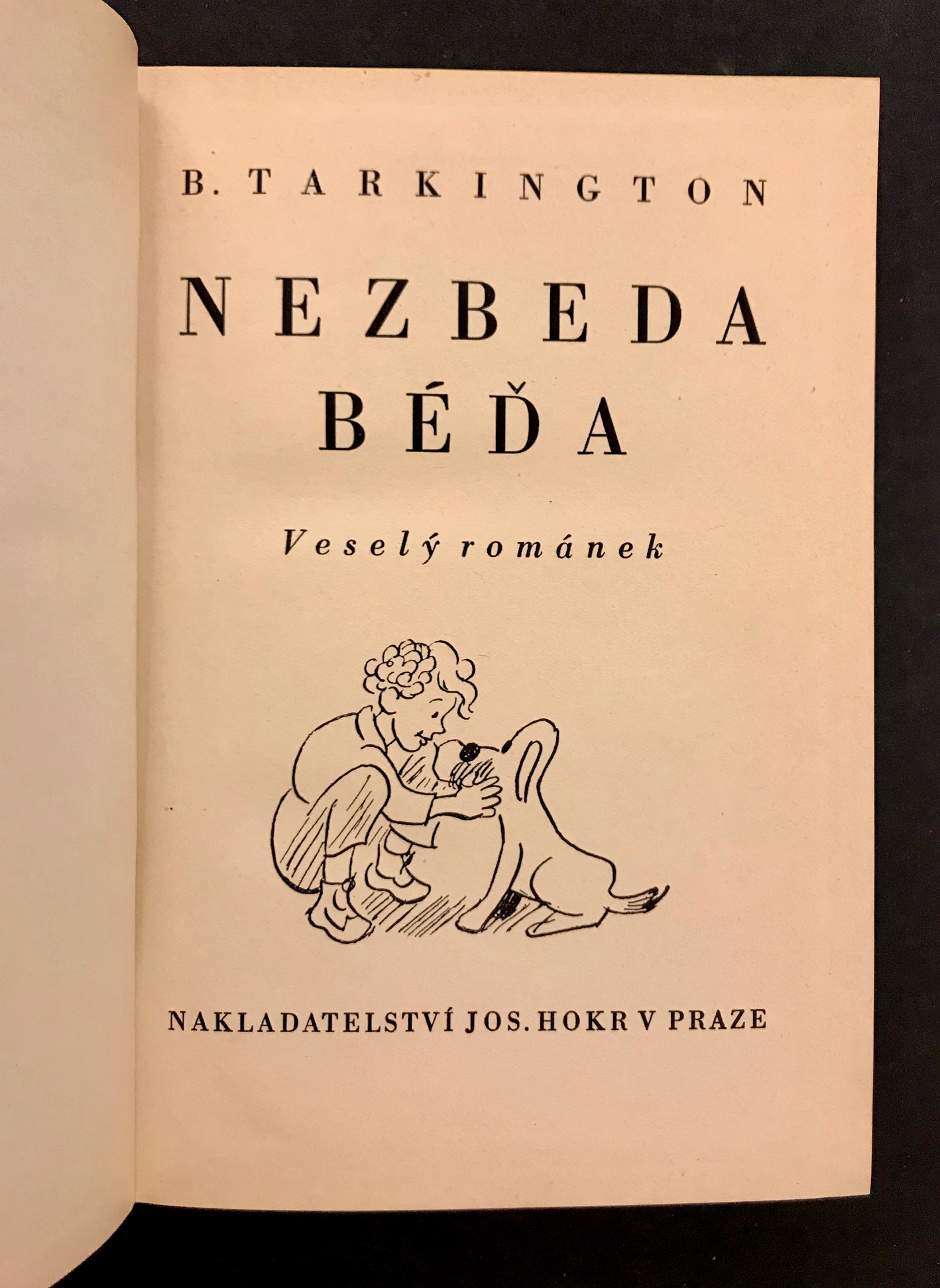 Béďa-Nezbéďa. Veselý románek